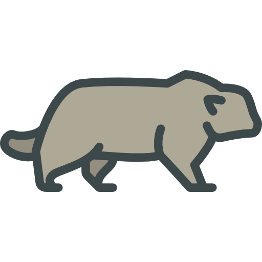 Pallas cat